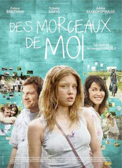 Des Morceaux de Moi flemmix