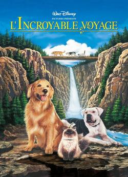 L'Incroyable Voyage flemmix