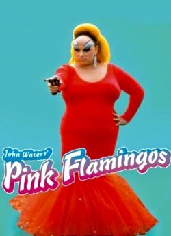 Pink Flamingos flemmix