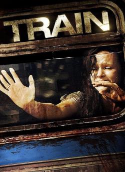 Train flemmix