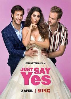 Just Say Yes flemmix