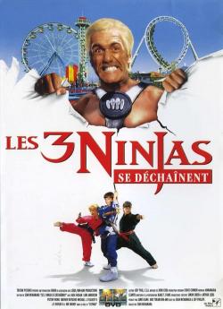 Les Ninjas se dechainent flemmix
