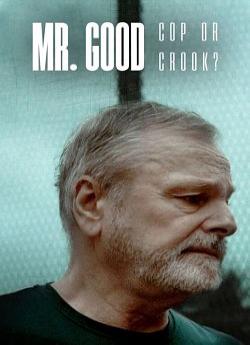 Mr. Good : Flic ou baron ? - Saison 1 flemmix