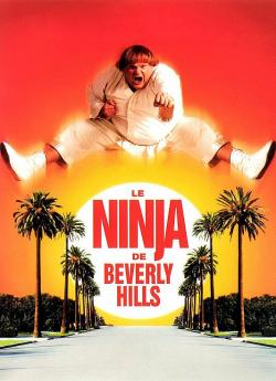 Le Ninja de Beverly Hills flemmix