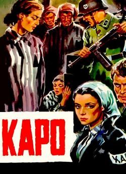 Kapò flemmix