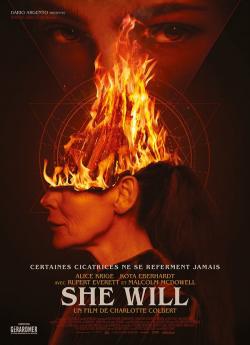 She Will flemmix