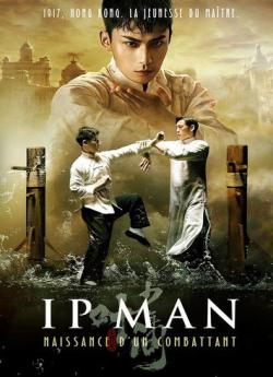 Ip Man : Naissance d'un combattant flemmix
