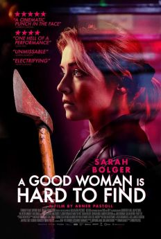 A Good Woman flemmix