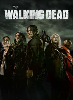 The Walking Dead - Saison 11 flemmix