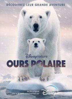 Ours Polaire flemmix