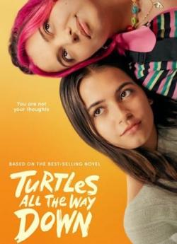 Turtles All The Way Down flemmix