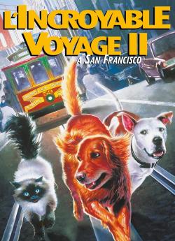 L'incroyable voyage II : À San Francisco flemmix