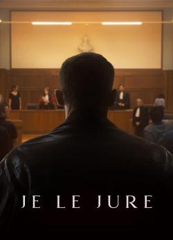 Je le jure flemmix