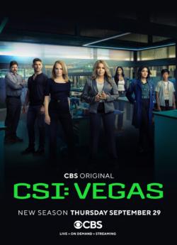 CSI: Vegas - Saison 2 flemmix