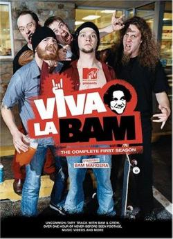 Viva La Bam - Saison 5 flemmix