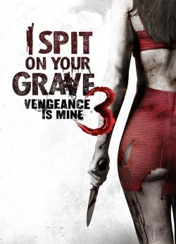 I Spit on Your Grave 3: Vengeance is Mine flemmix