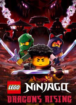 LEGO Ninjago: Dragons Rising flemmix