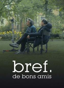 Bref. De bons amis flemmix