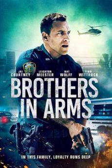 Brothers in Arms flemmix