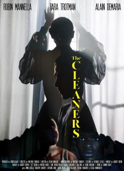 The Cleaners flemmix