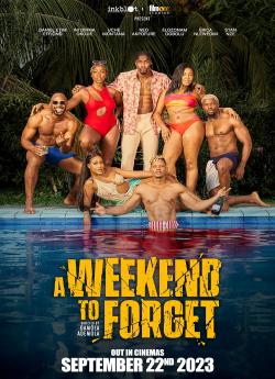 A Weekend to Forget flemmix