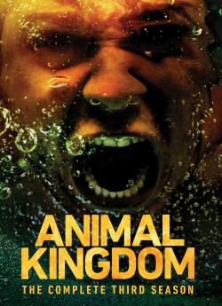 Animal Kingdom - Saison 3 flemmix