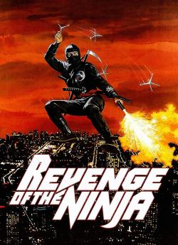 Ultime Violence - Ninja 2 flemmix