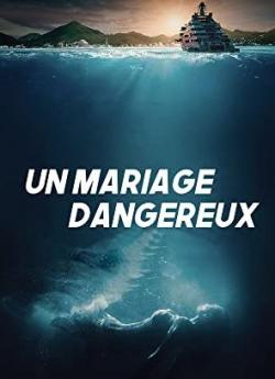 Un Mariage Dangereux flemmix