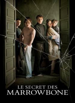 Le Secret des Marrowbone flemmix