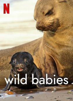 Wild Babies : Petits et Sauvages - Saison 1 flemmix
