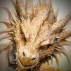 Oldragon